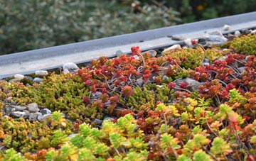 the cost of Loughborough green roof installation