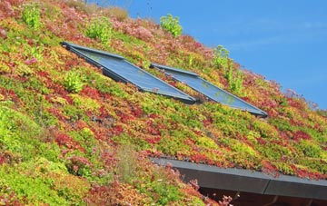 Loughborough living roof systems